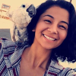 Meet your Posher, Heidi